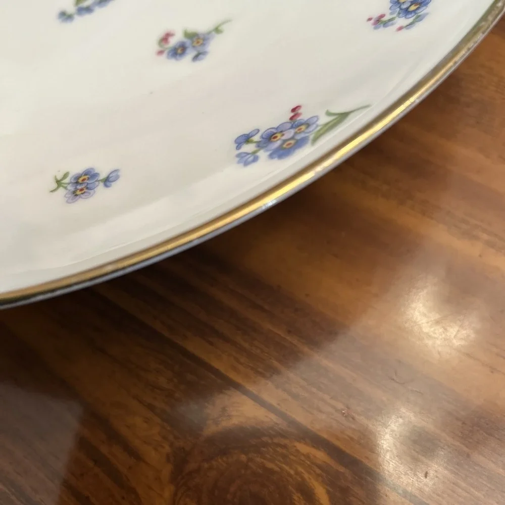 Tuscan Fine English Bone China Forget Me Not Plate 10‎ Inch